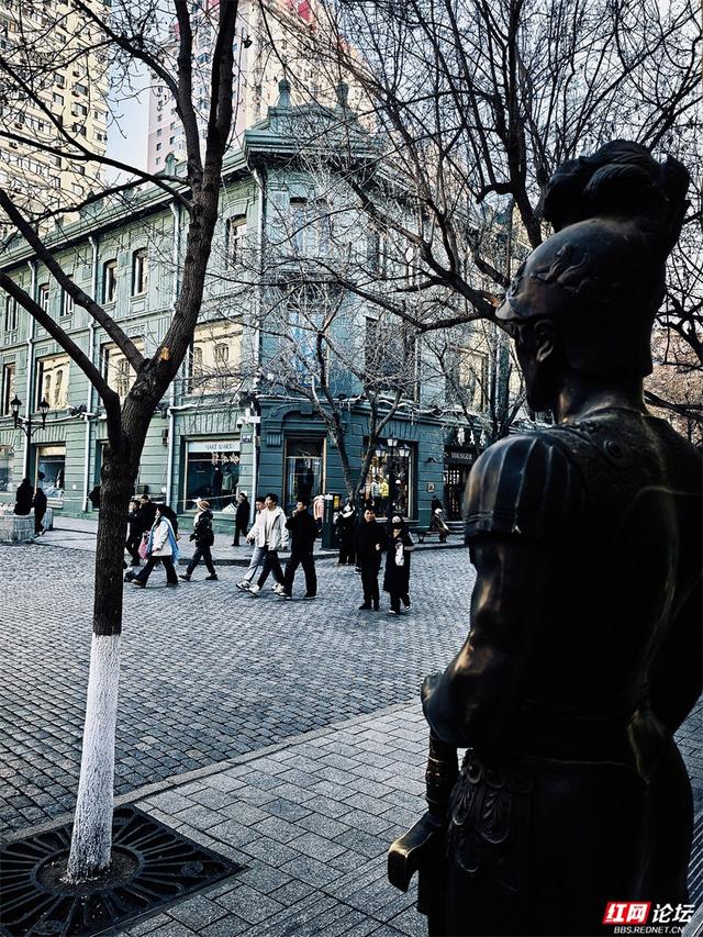 岁暖时刻丨来哈尔滨，一定要走一次中央大街