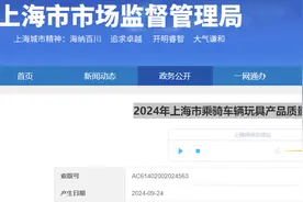 2024年上海市乘骑车辆玩具产品质量监督抽查结果公布图片