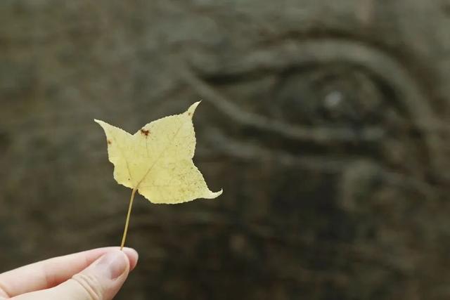 南京秋天最新消息