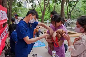 被流浪猫抓伤后吮吸伤口属于三级暴露，需及时接种狂犬疫苗图片