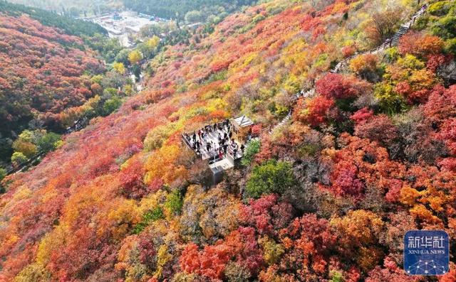 秋声渐杳 斑斓成诗