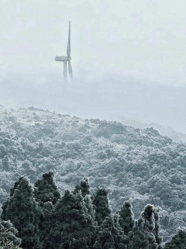 多地下雪！广西限定版“冰雪世界”已上线