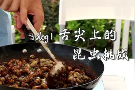 Vlog | 舌尖上的昆虫挑战图片
