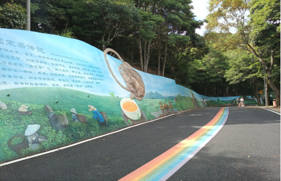 解锁南澳“旅游+”新玩法