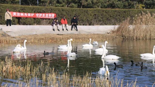 乘着高铁冬游南海 解锁宝藏旅居目的地