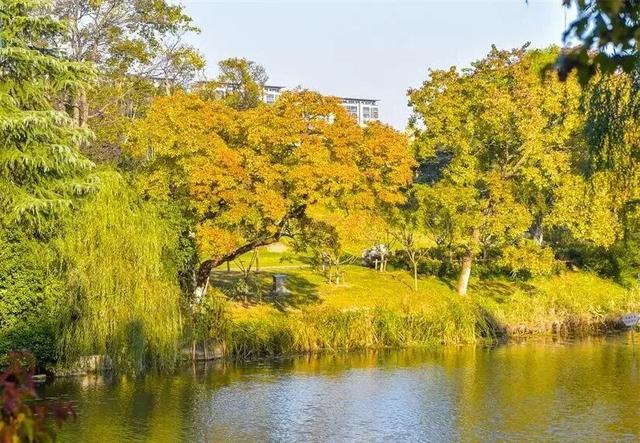 宿城，已经美成这样！