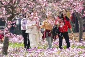 拥抱自然享春光图片