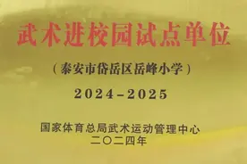 岳峰小学被国家体育总局授予“武术进校园试点单位”图片