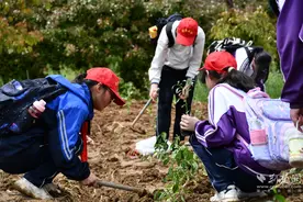 亲手制作筷子、油纸伞……这群中学生收获劳动快乐图片
