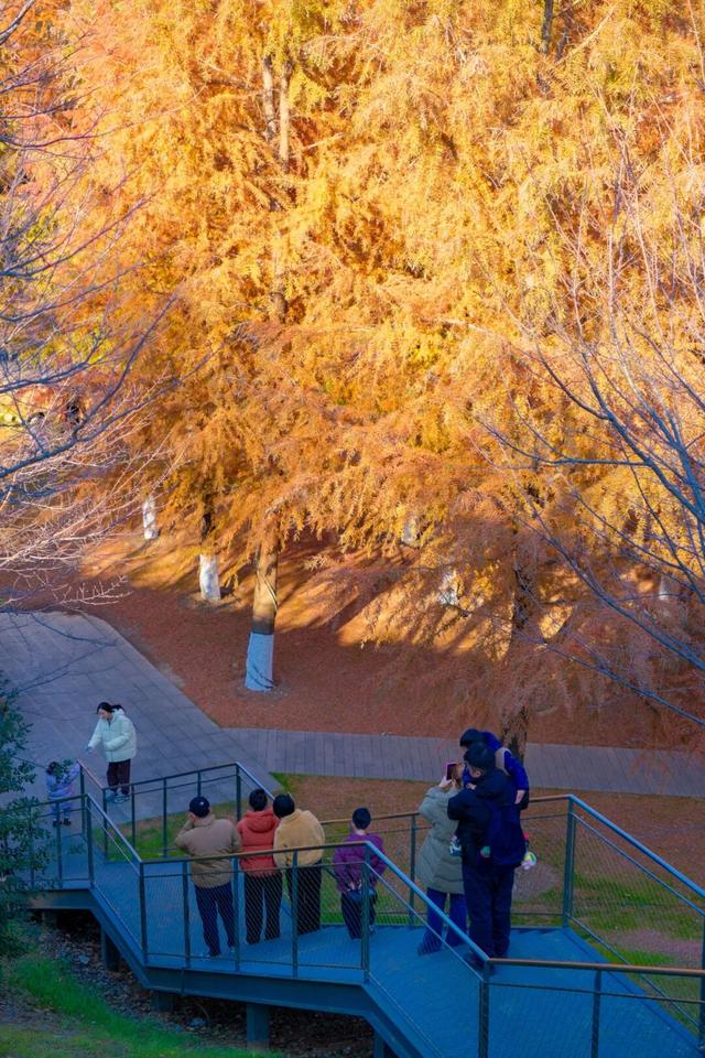 官宣！“又来汤山过大年”活动重磅来袭！