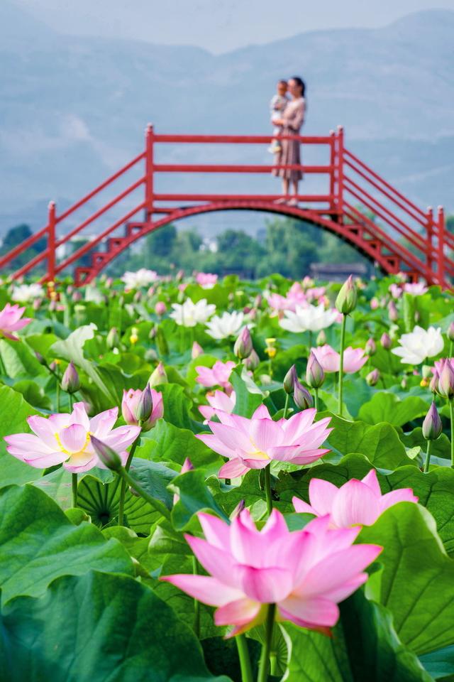 世界旅游日，带你换个角度看和美丽江好风光