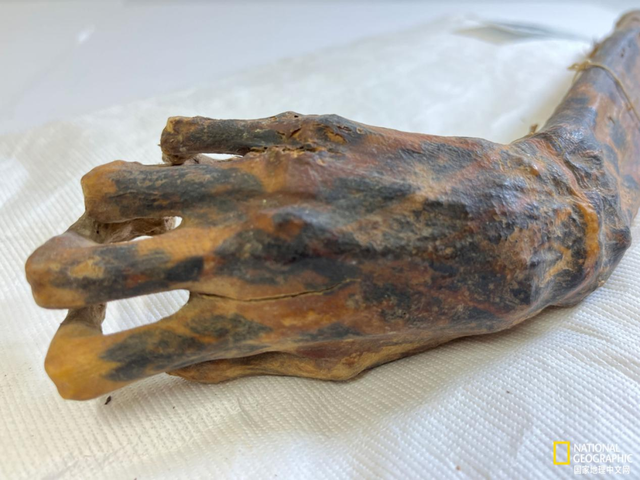 将天空、山脉、星辰纹进皮肤！5000年前的人在身体上绘制了整个宇宙