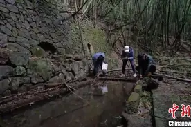 浙江宁波东钱湖墓葬群新发现宋元时期遗址图片