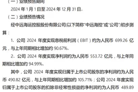 V观财报｜中远海控2024年净利预增超九成图片