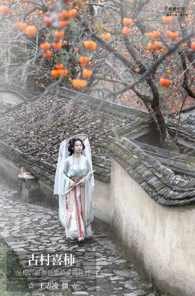 走！去屏南！这些柿子打卡点请收好→