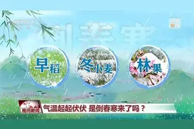 气温起起伏伏，是倒春寒来了吗？图片
