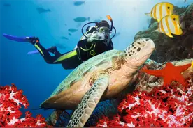 斯里兰卡来杭举办路演 对中国游客免签的政策会吸引你去吗图片