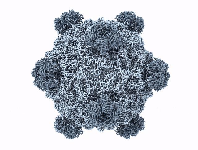 全球首个AI基因组诞生，35亿年生命代码重编程，生物学迎「ChatGPT时刻」