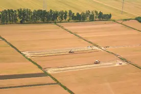 又是一年麦收季图片