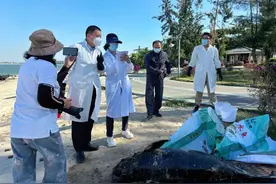 特呈岛沙滩发现罕见江豚尸体，将制作标本让更多人关注种群！图片