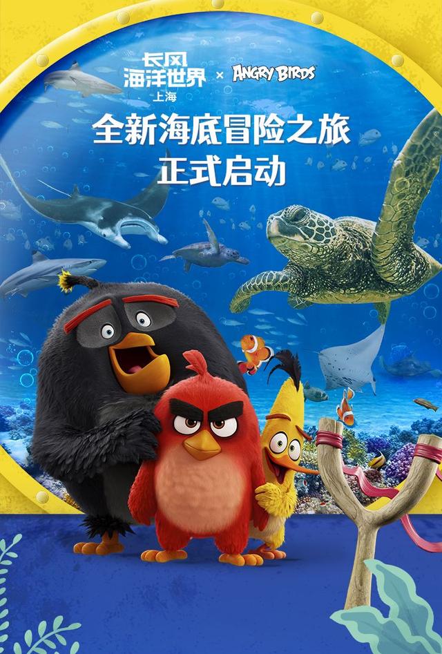 普陀·遇见新视角｜避暑攻略已就位，一头扎进普陀的夏天！