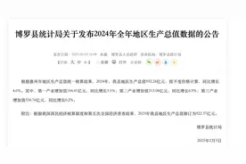 惠州博罗县2024年GDP达952.24亿元，同比增长4%图片