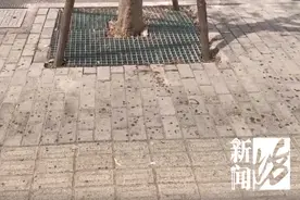 近期上海街头频现！单车汽车“黏答答”，走路鞋也会黏住……不明粘液究竟是啥？图片