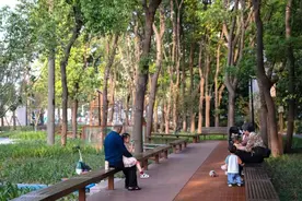 闵行又有3个街镇上榜！图片