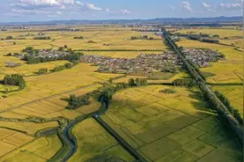 金秋开镰稻花香图片