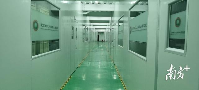 点解花胶煮热变成一小 2026年花胶煮化了什么原因