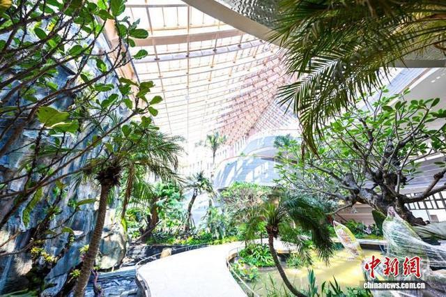 一张登机牌打开济南：从“泉城”到世界旅游目的地，靠的不只是泉水