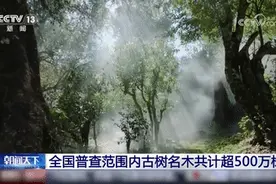 这些“老伙计”，你知道它们多少岁吗?图片