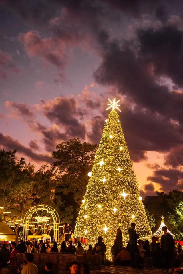 “这可能是深圳最热闹的周末，攻略准备好了”