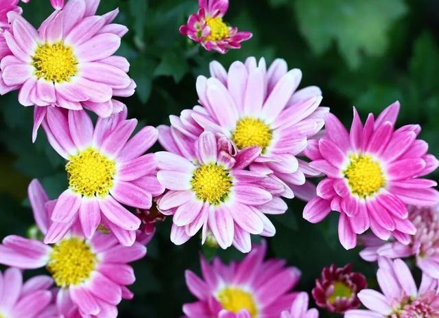 重阳登高栖霞山！玩心不“老”很嗨皮~