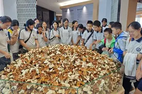 市县动态｜钦州学子参加研学活动感悟家乡文化魅力图片