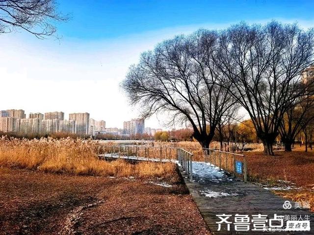 她的背影，是我一生的港湾