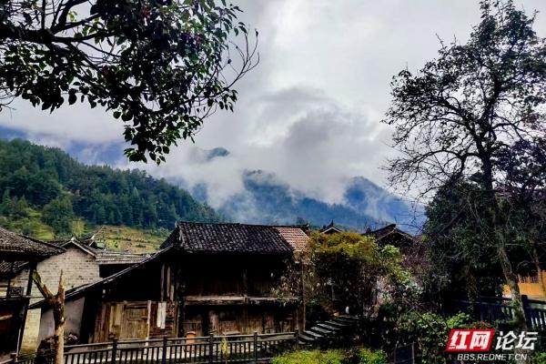 当深秋雾色邂逅古村，新化下团村上演现实版山水秘境