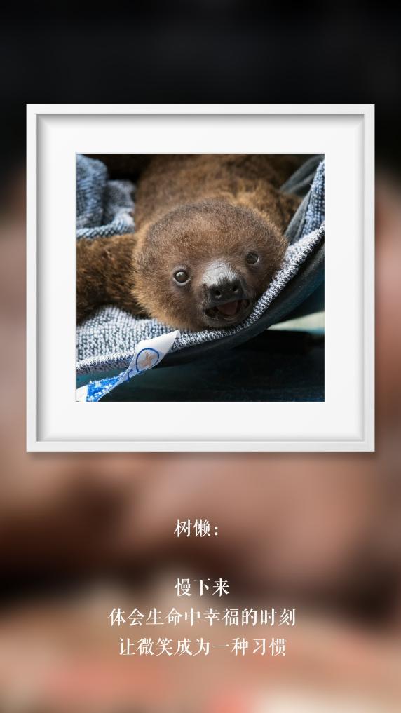 世界微笑日丨那些“天生爱笑”的萌物们