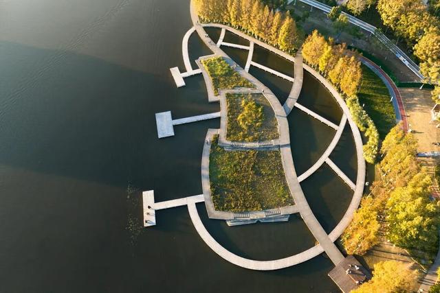 湖光金叶织秋韵