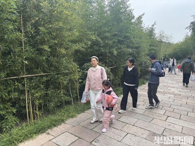 青岛竹子庵：金秋赏景正当时！