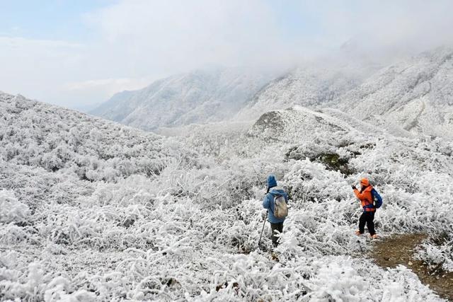 多图直击融水雾凇美景