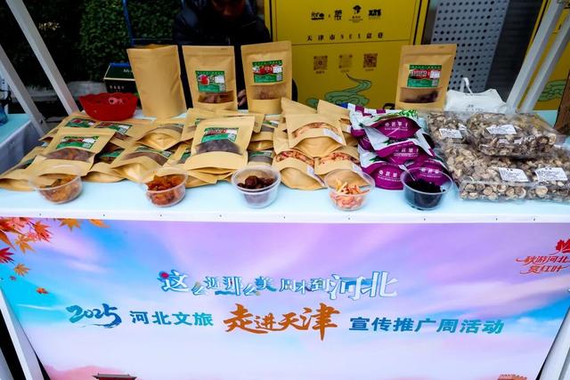 滦河连京津，承德来敲门｜2025承德文旅京津宣传推广周收官站，我们在天津意式风情街遇见“家”