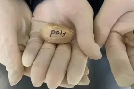 20个潜伏的虫卵！江西口岸首次截获一批“异宠”虫卵，属于外来物种图片
