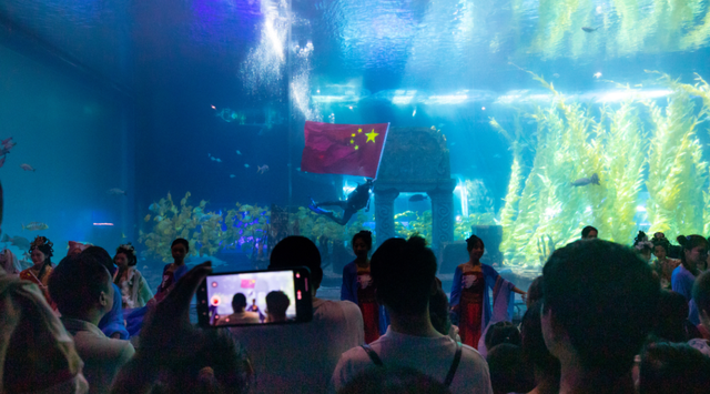 国庆必打卡！海底美人鱼回归！