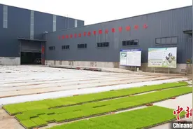 （乡村行·看振兴）江西南昌：春种春管忙生产  农业发展促振兴图片