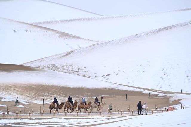 请查收！这份“冬日限定版敦煌”的正确打开方式