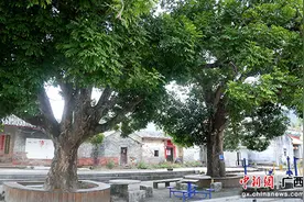北流市兴上村: 百年老宅展风华 文旅融合添魅力图片