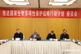 生物多样性保护专项立法仍是空白？专家：应纳入生态环境法典图片