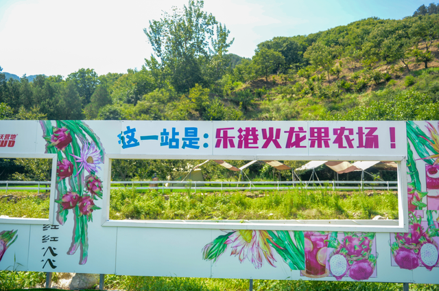 济南已明确：每年这两天，免费向他们开放！
