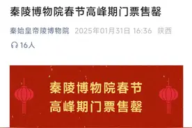 新春走基层｜兵马俑博物馆今早7点起排长龙迎客流高峰，游客：羽绒服的毛都挤出来了图片